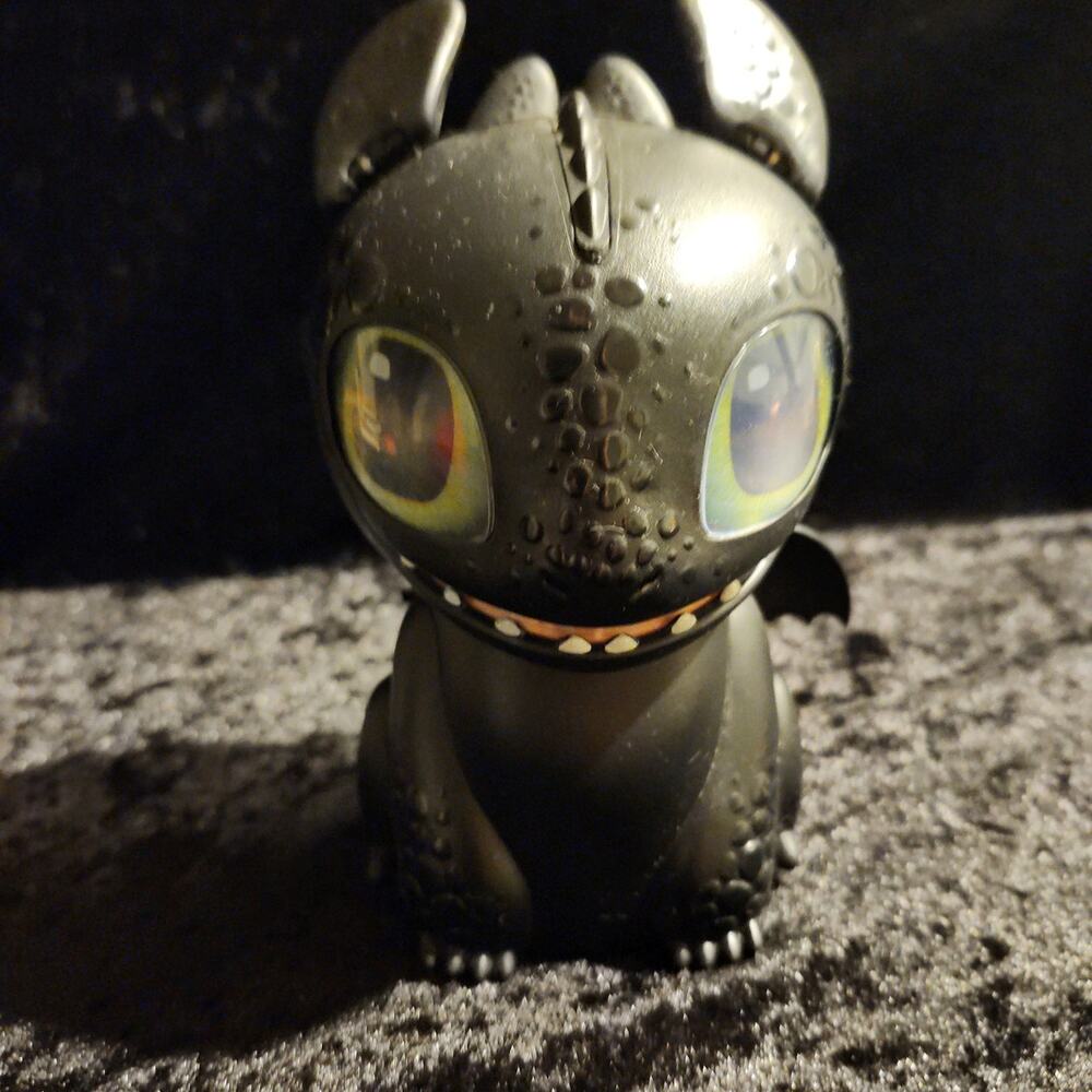 How To Train A Dragon - Picture 3 of 6